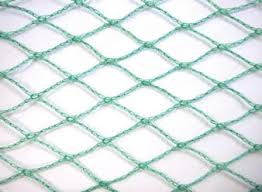 bird net 4x10M