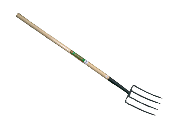 Fork Long Wood