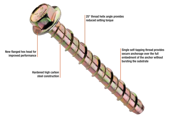 Screw bolt Z/Y 10x60