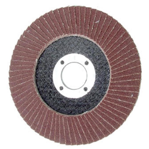Flap Disc 100mm #40